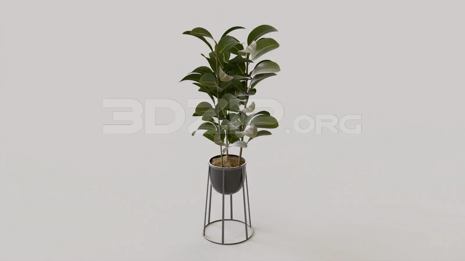 Plant