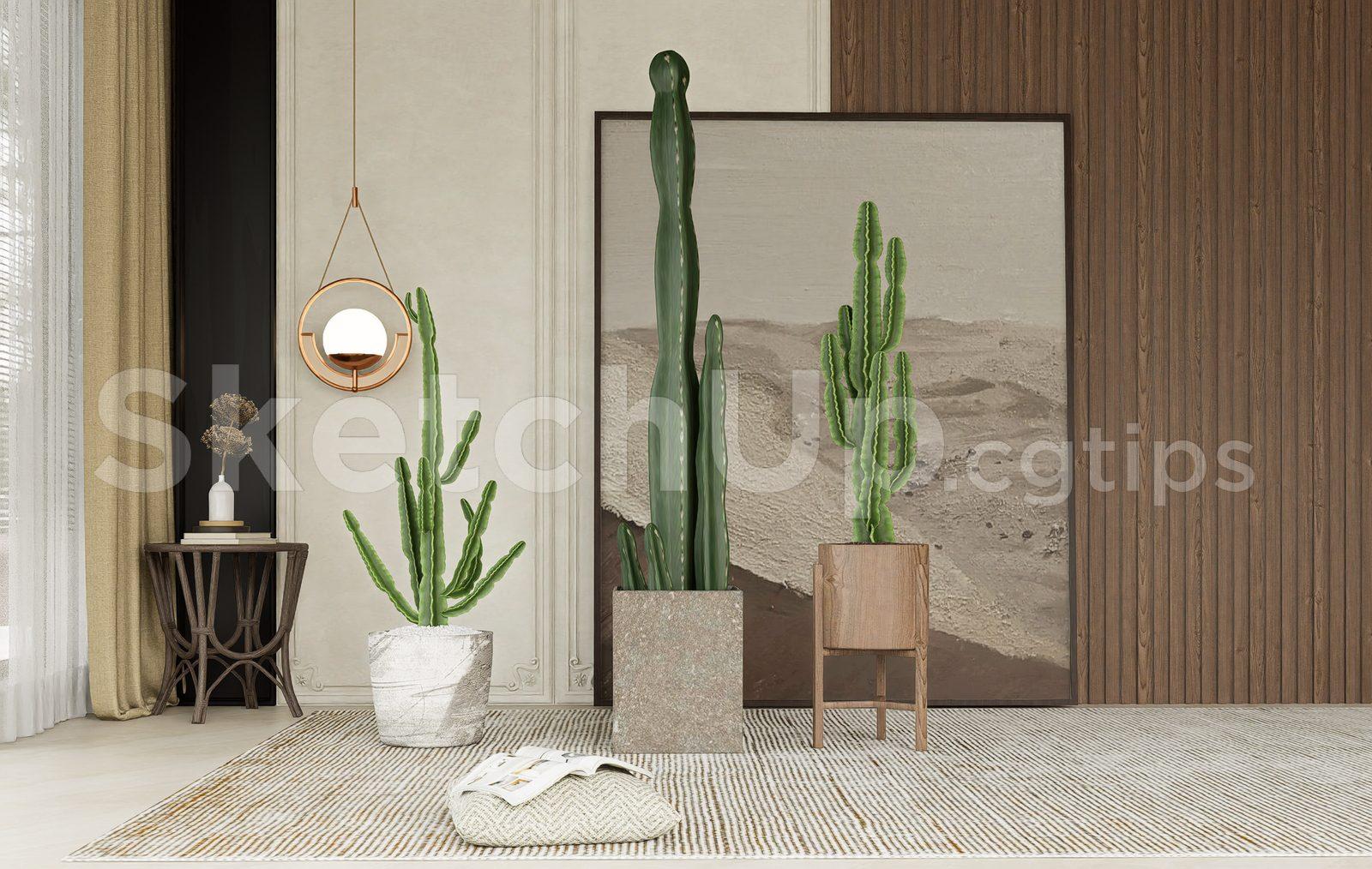 Stylish Interior Scene with Potted Cactus – SketchUp 3D Visualization