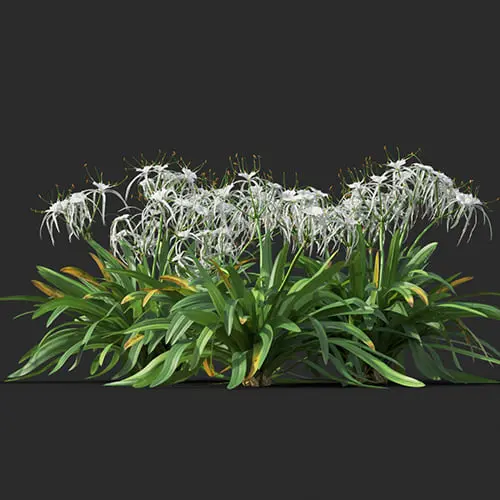 Plant — preview 1, by Bui Thuong (cgtips)