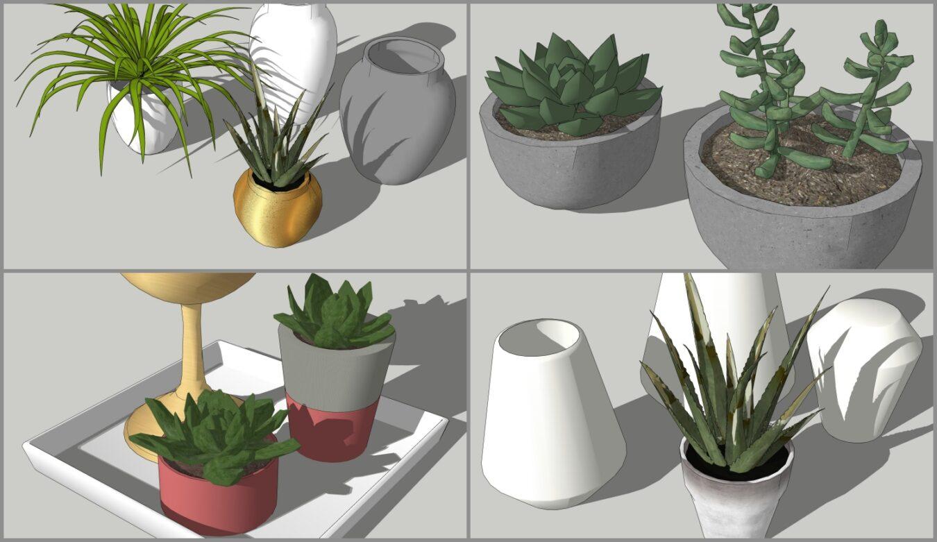 Plants