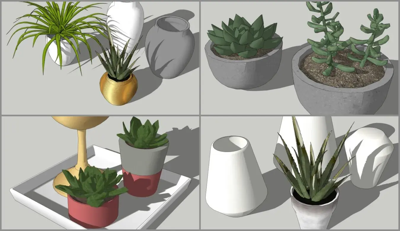 Plants