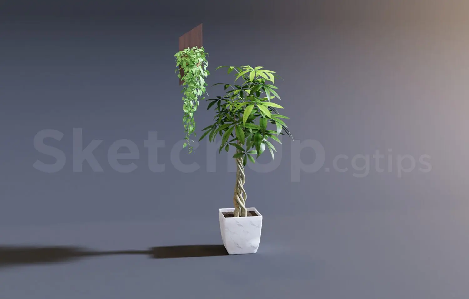 Plant — preview 1 (cgtips, CC0)