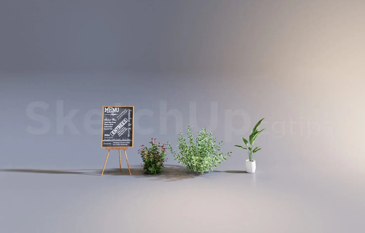 Plant