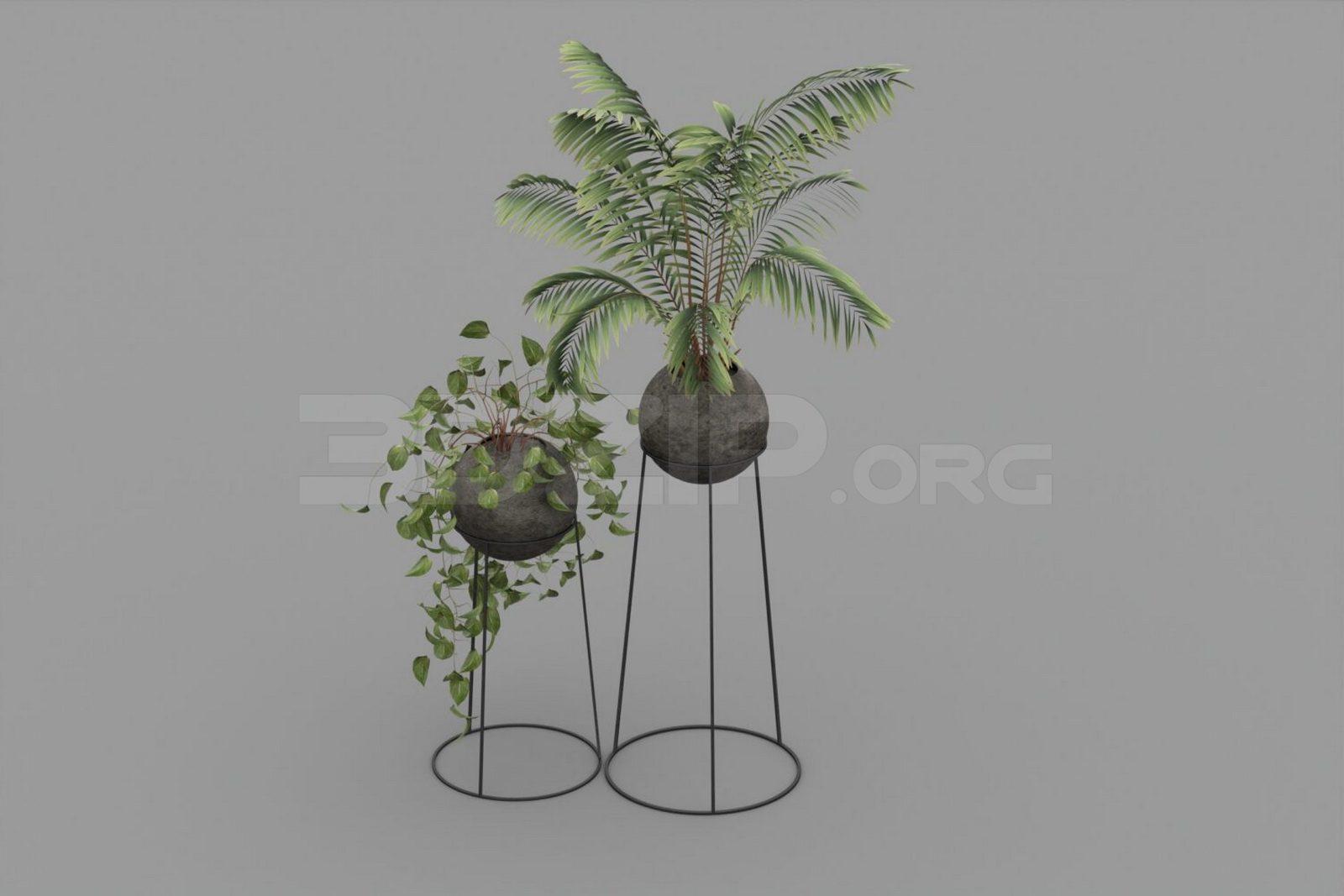 Plant — preview 1, by Se Arc (3dzip)