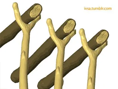 Decorative natural log with support
