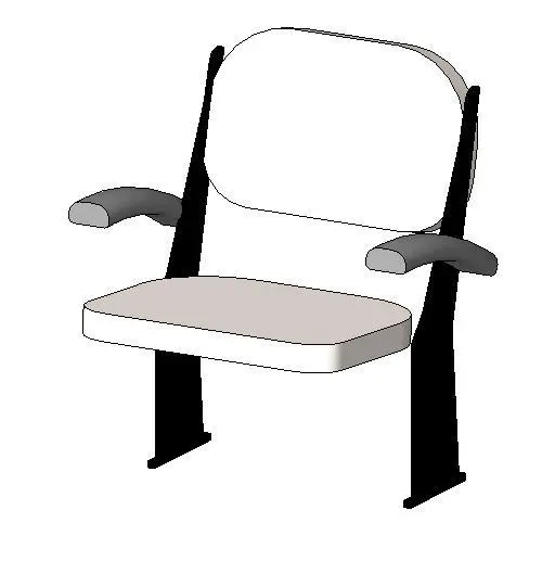 Auditorium Seating