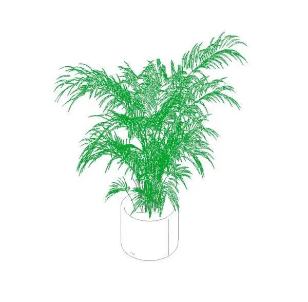 Interior Plant By Siru