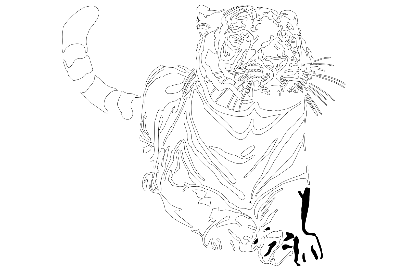 Tiger Outline