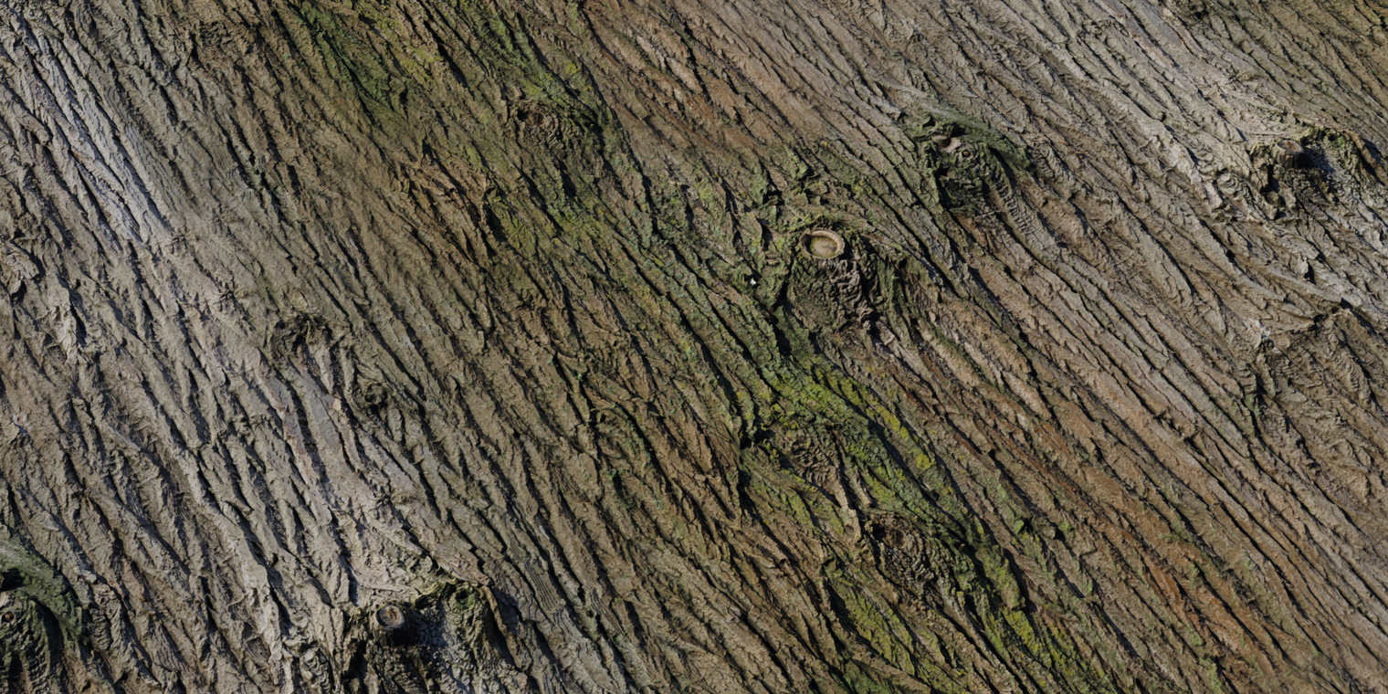 Bark Brown 2