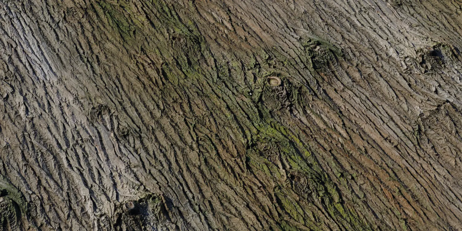 Bark Brown 2