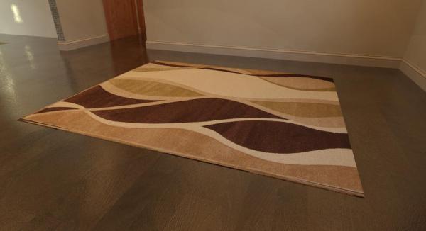 Fully Parametric Area Rug