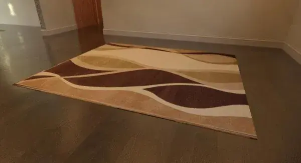 Fully Parametric Area Rug