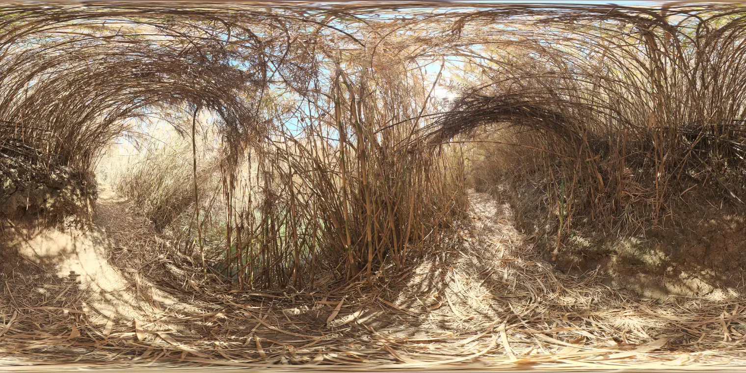 Bamboo Tunnel