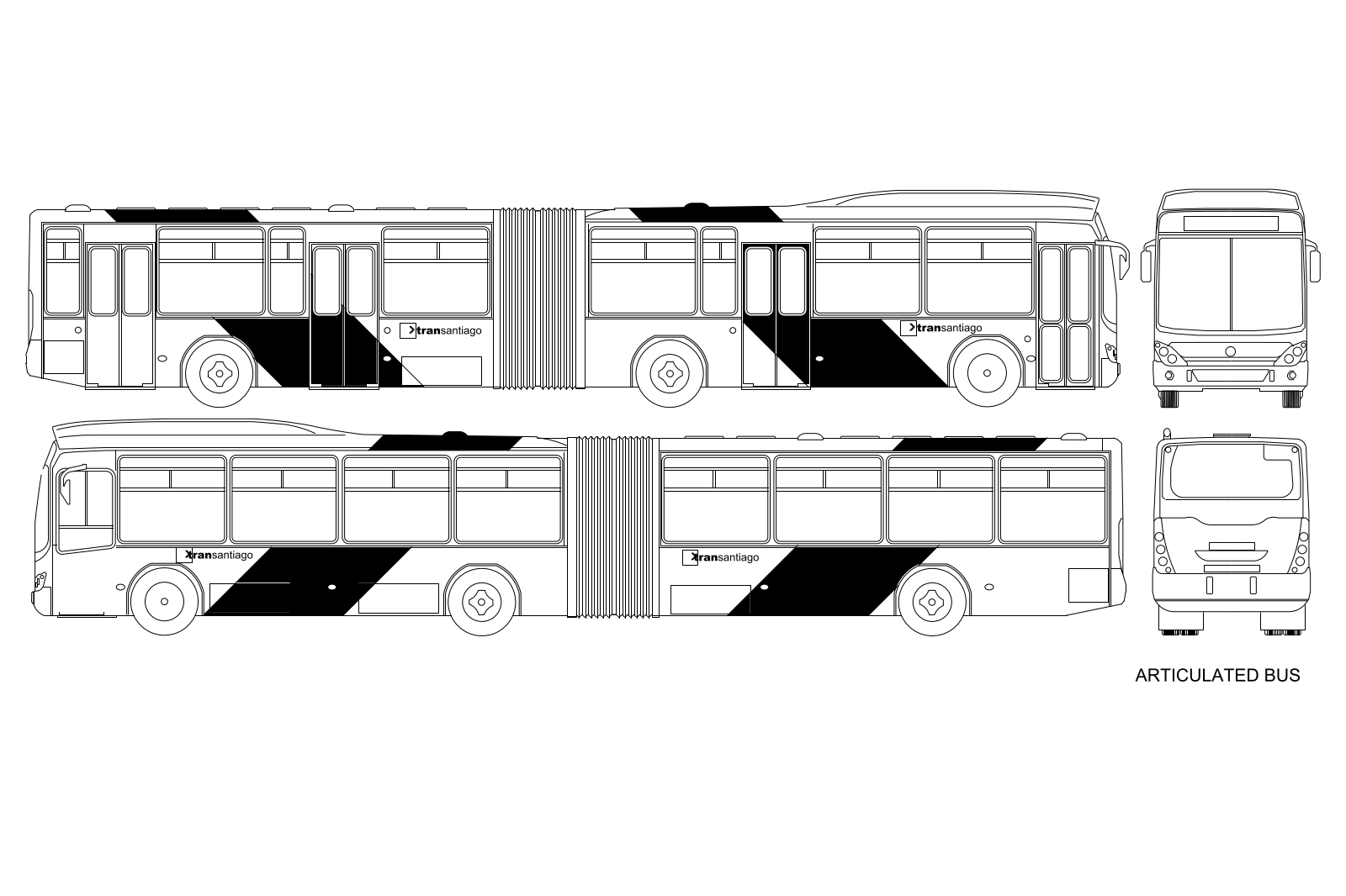 Articulated bus
