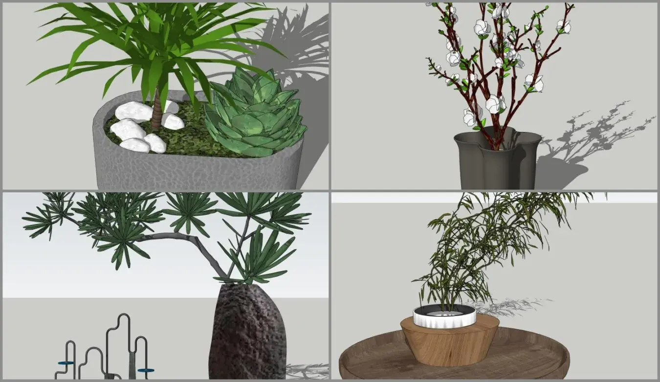 Plants