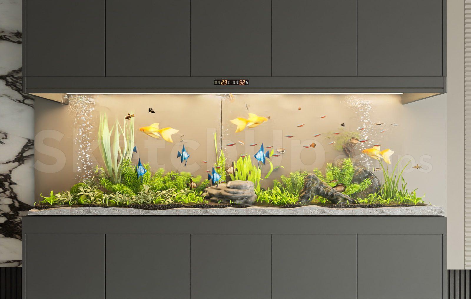 Aquarium Tank