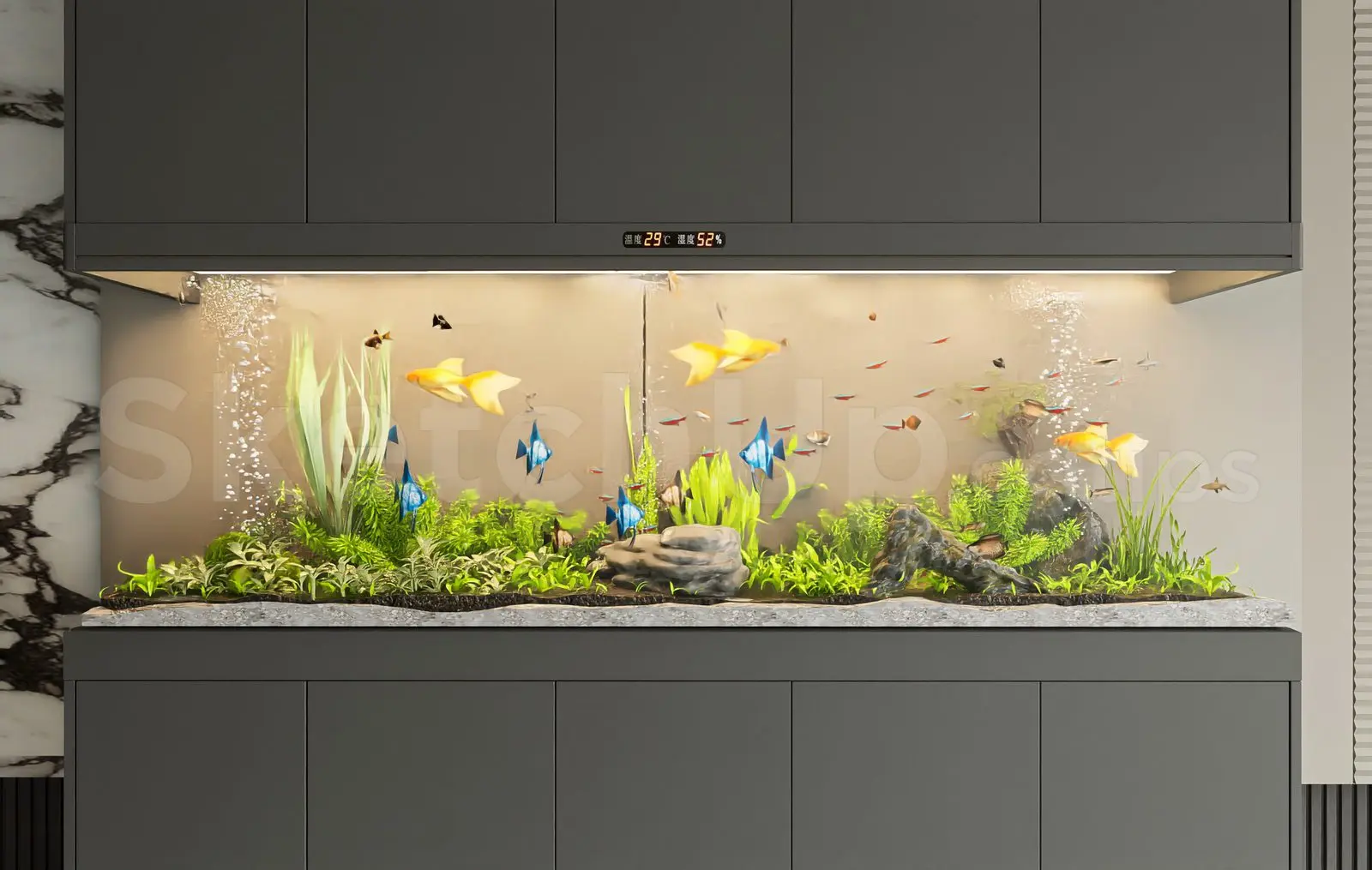 Aquarium Tank