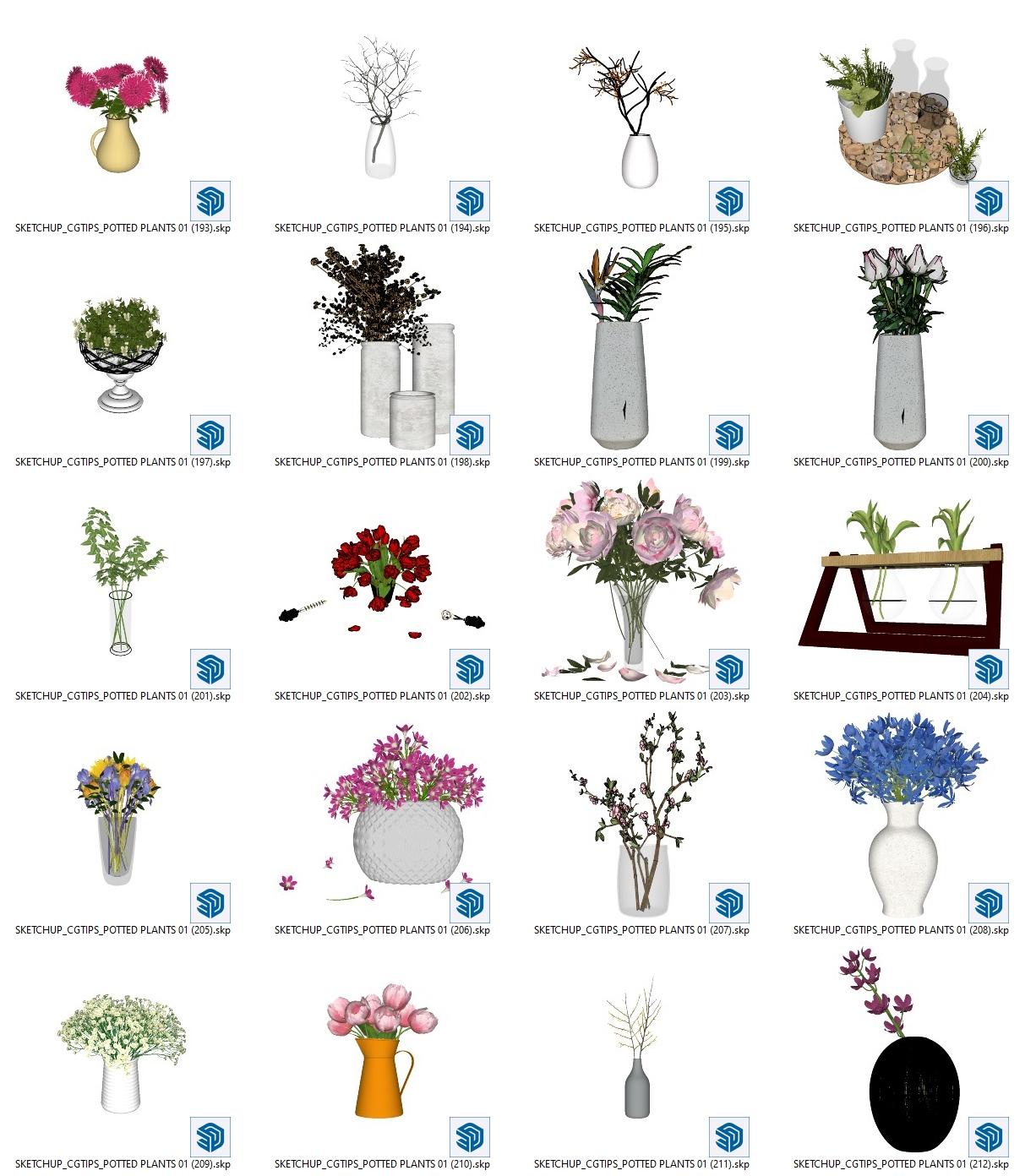 Potted Plants