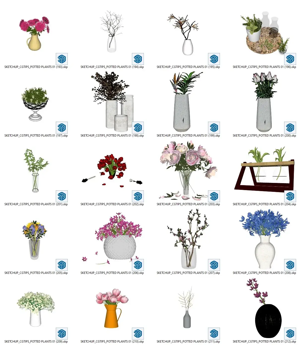 Potted Plants