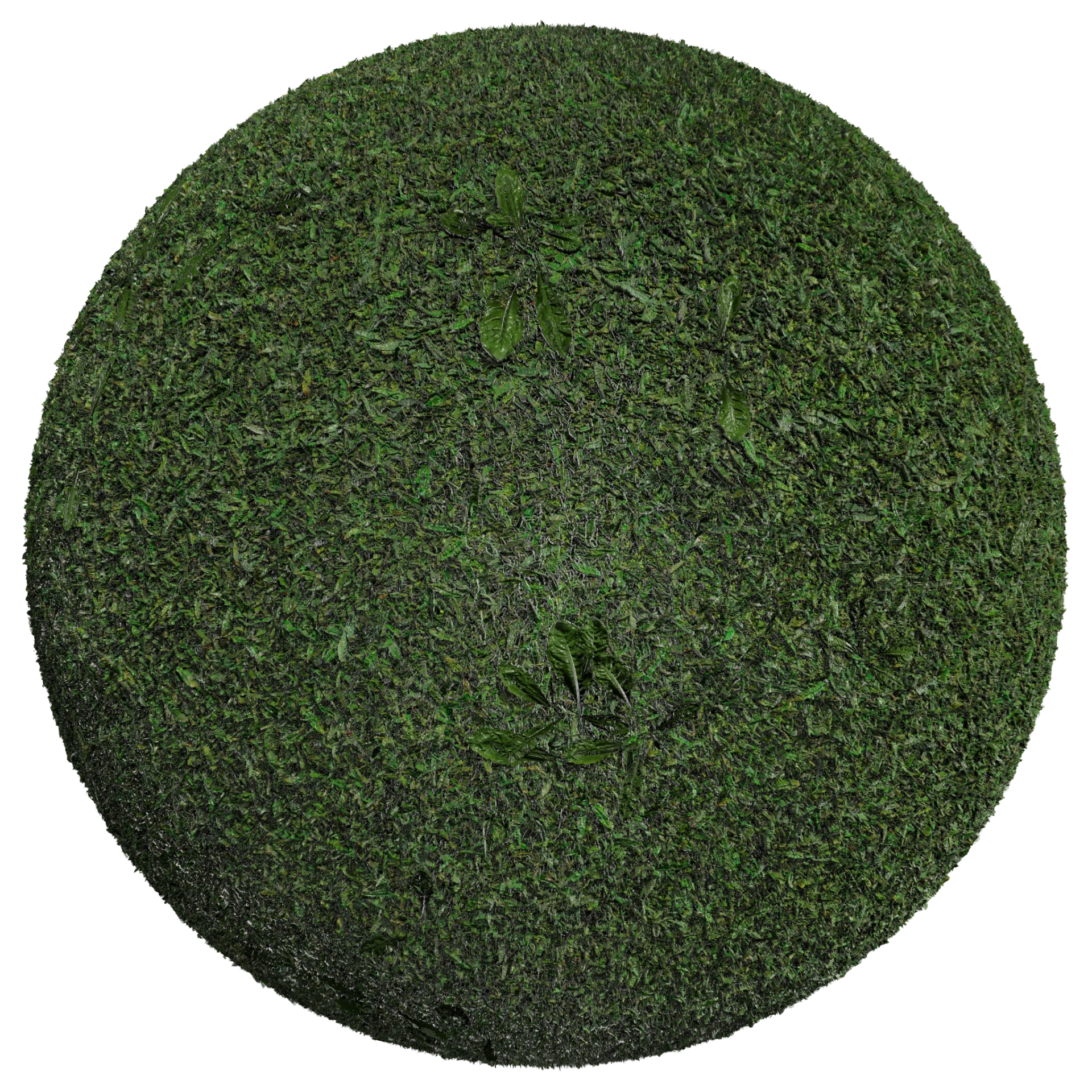 Grass 002