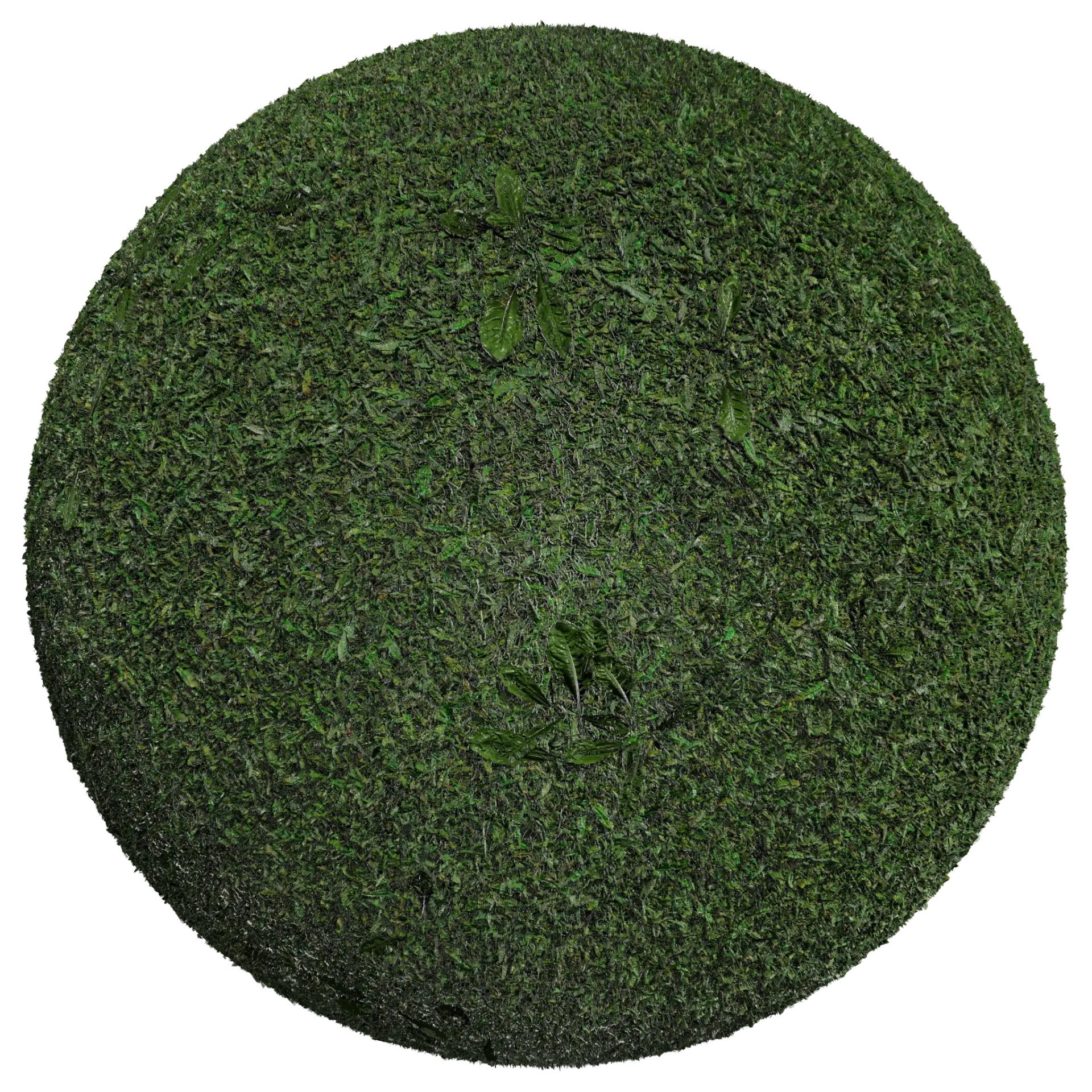 Grass 002