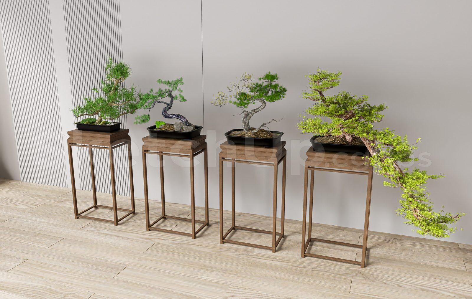 BonSai Tree