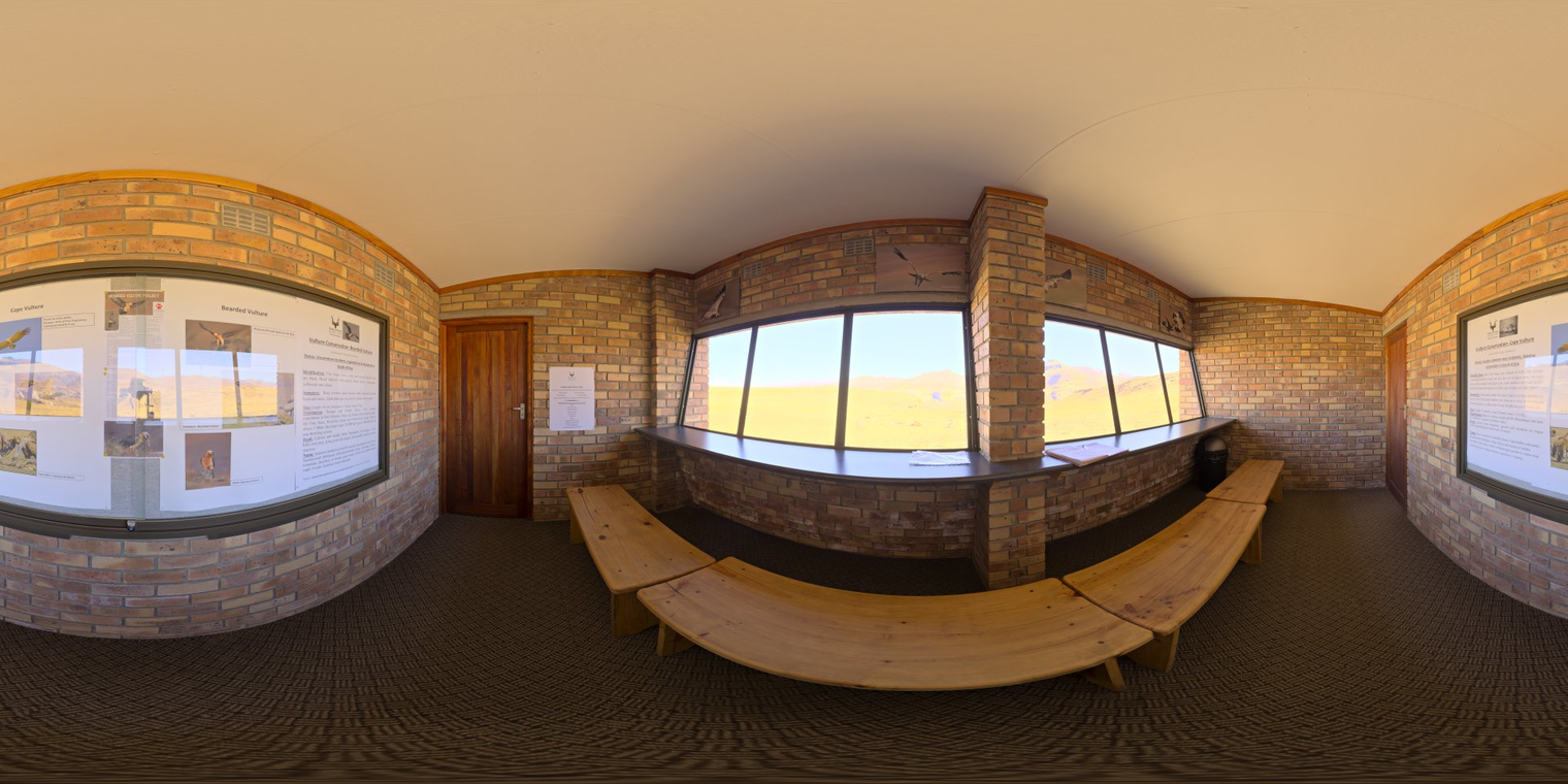 Vulture Hide