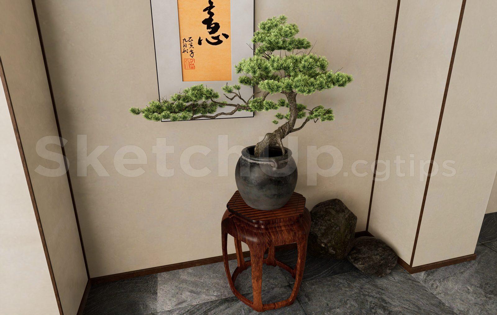 BonSai Tree