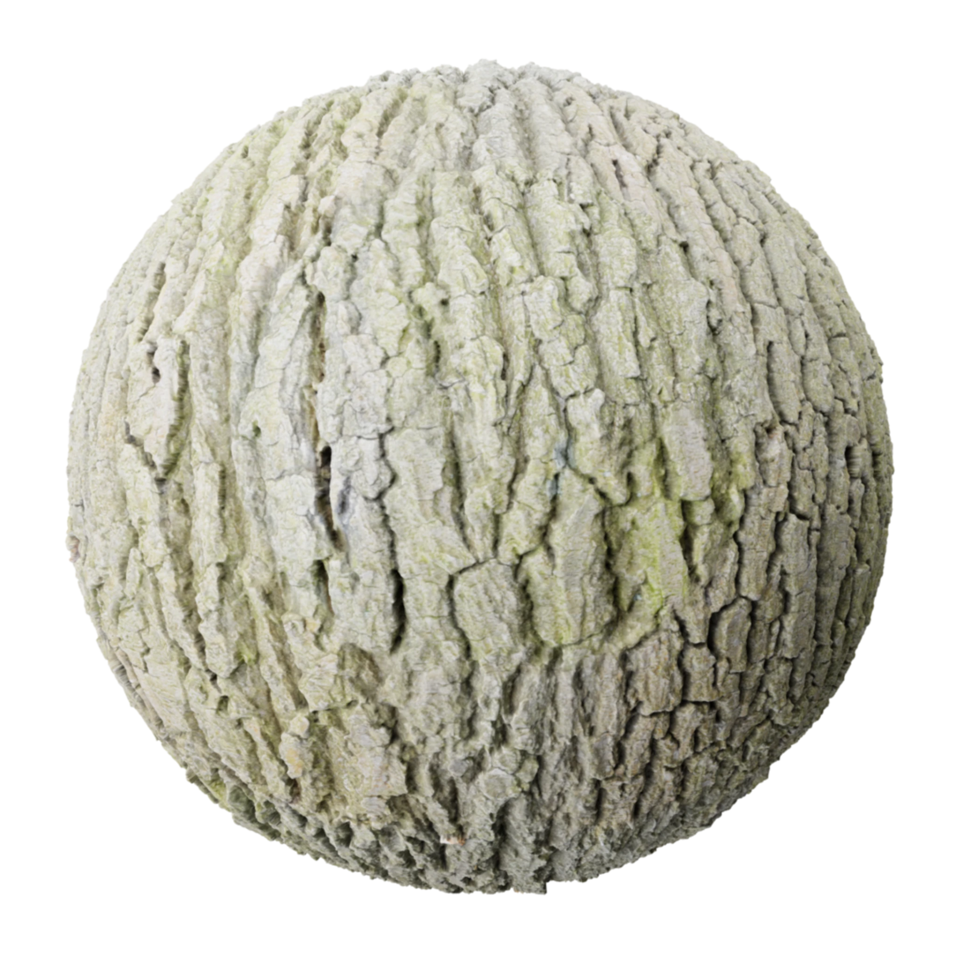 Bark 007