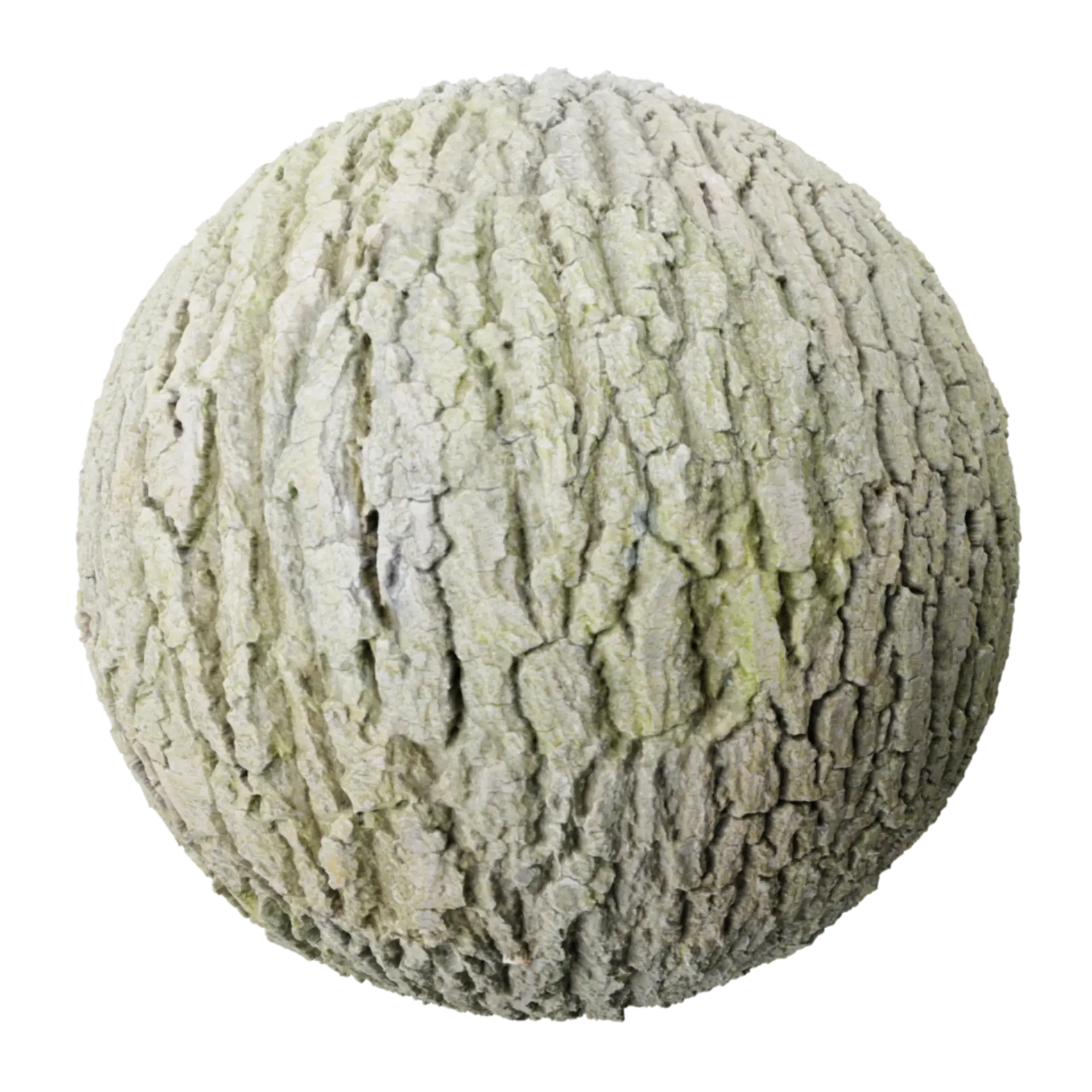 Bark 007
