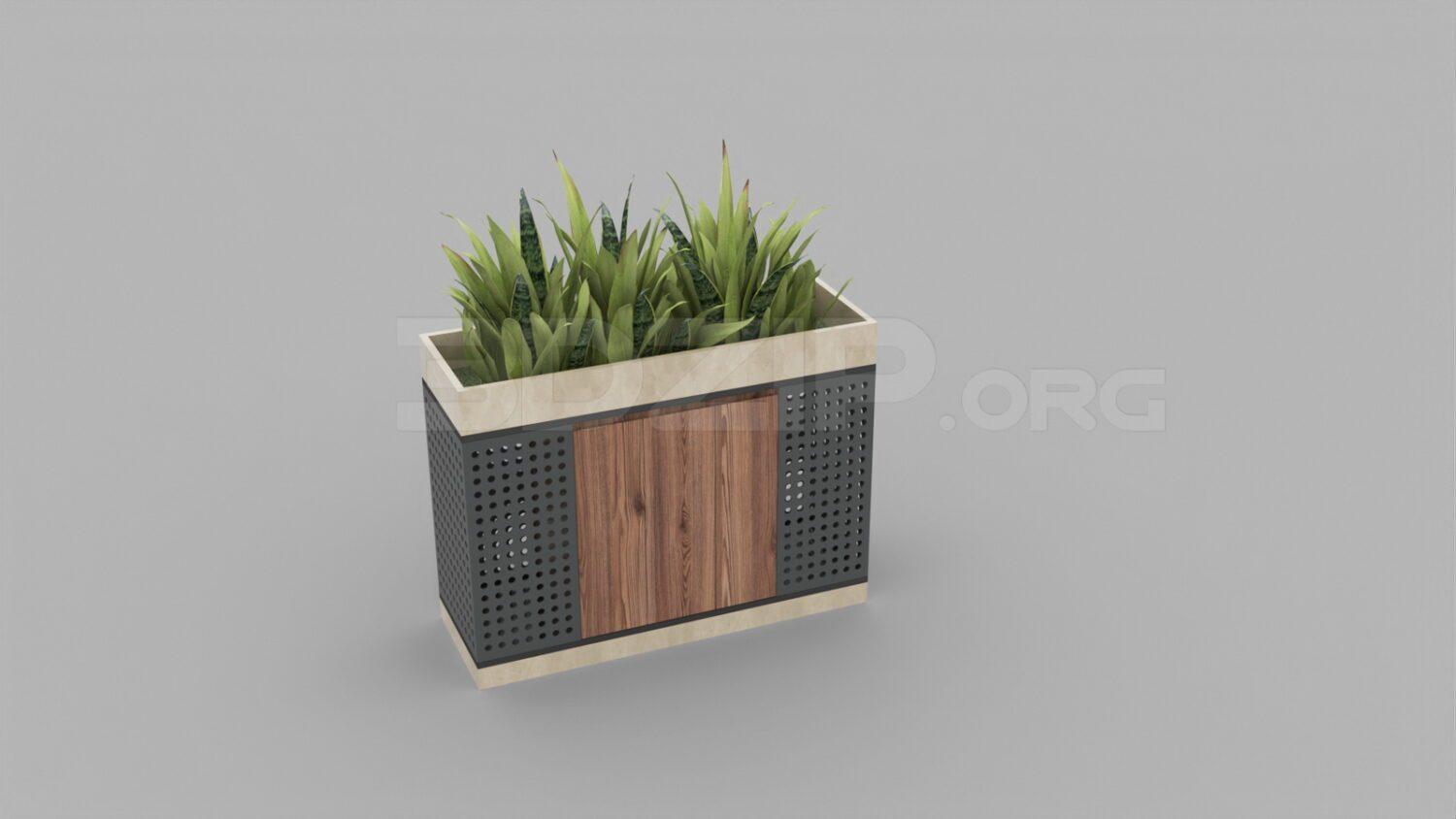 Plant