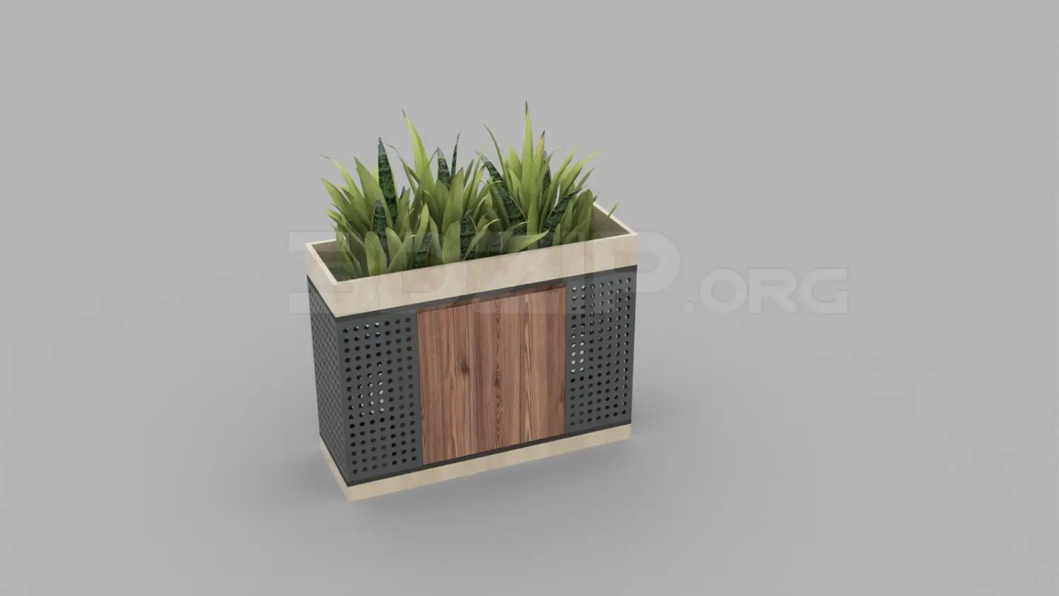 Plant