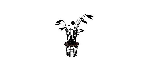 Plant 4 — preview 1, by DesignDiva (RevitCity, CC0)