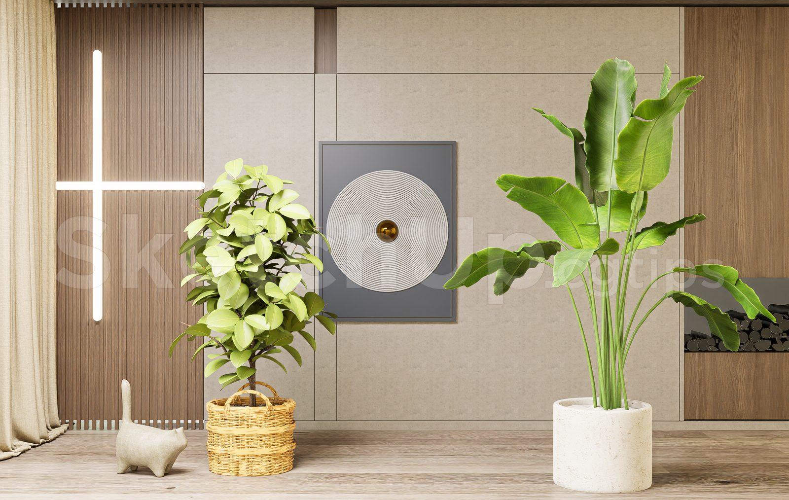 Modern Indoor Plant Decoration