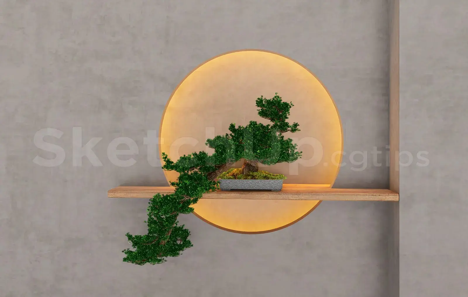 BonSai Tree