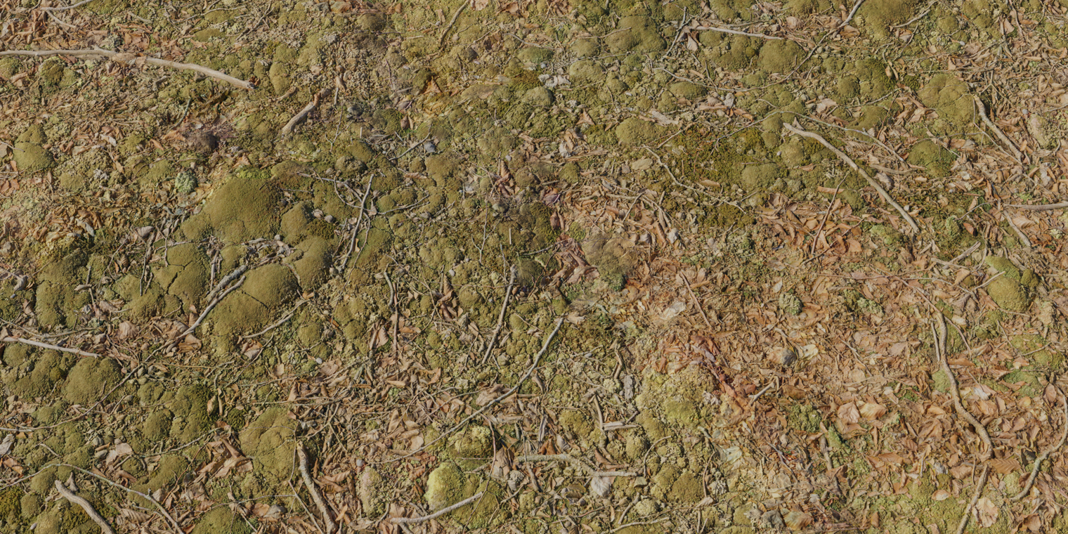 Forest Leaves 2
