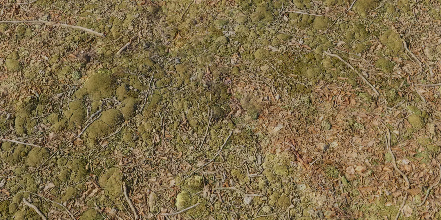 Forest Leaves 2