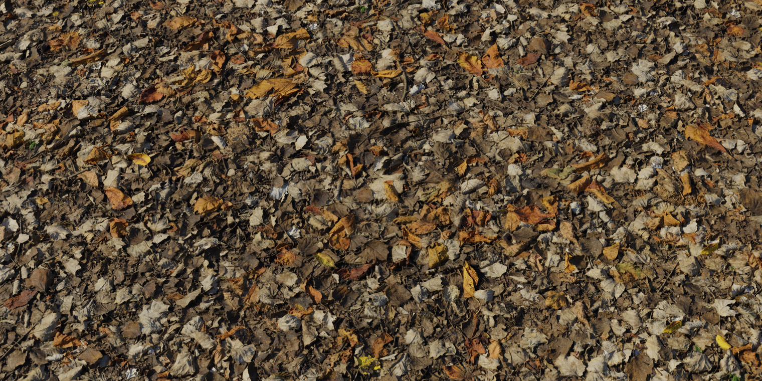 Leaves Forest Ground