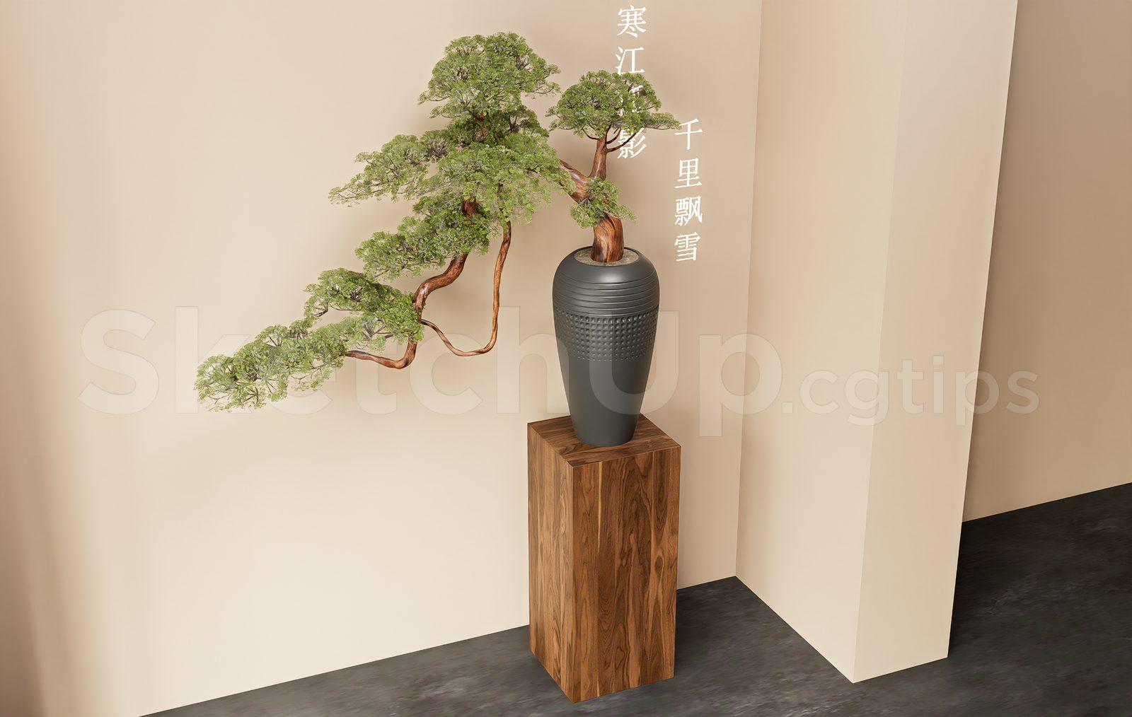 BonSai Tree