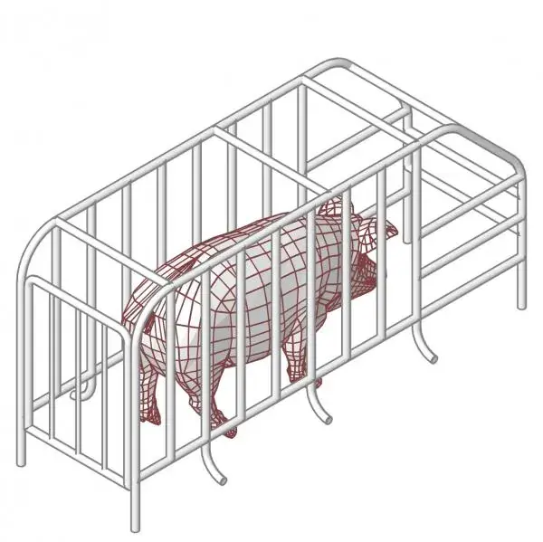 Pig Farrowing Crate