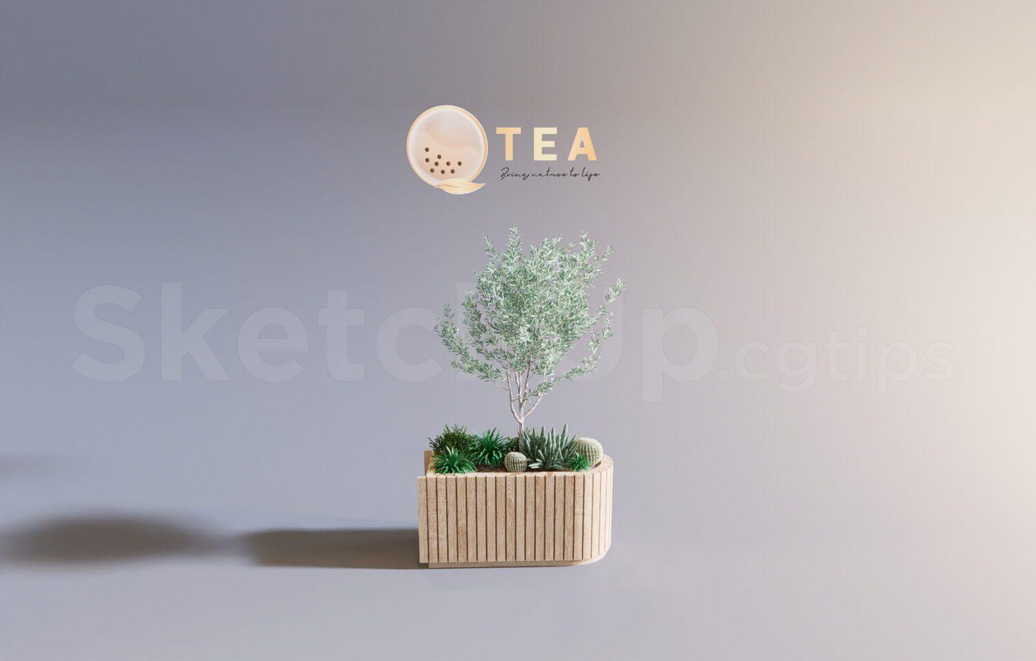 Plant