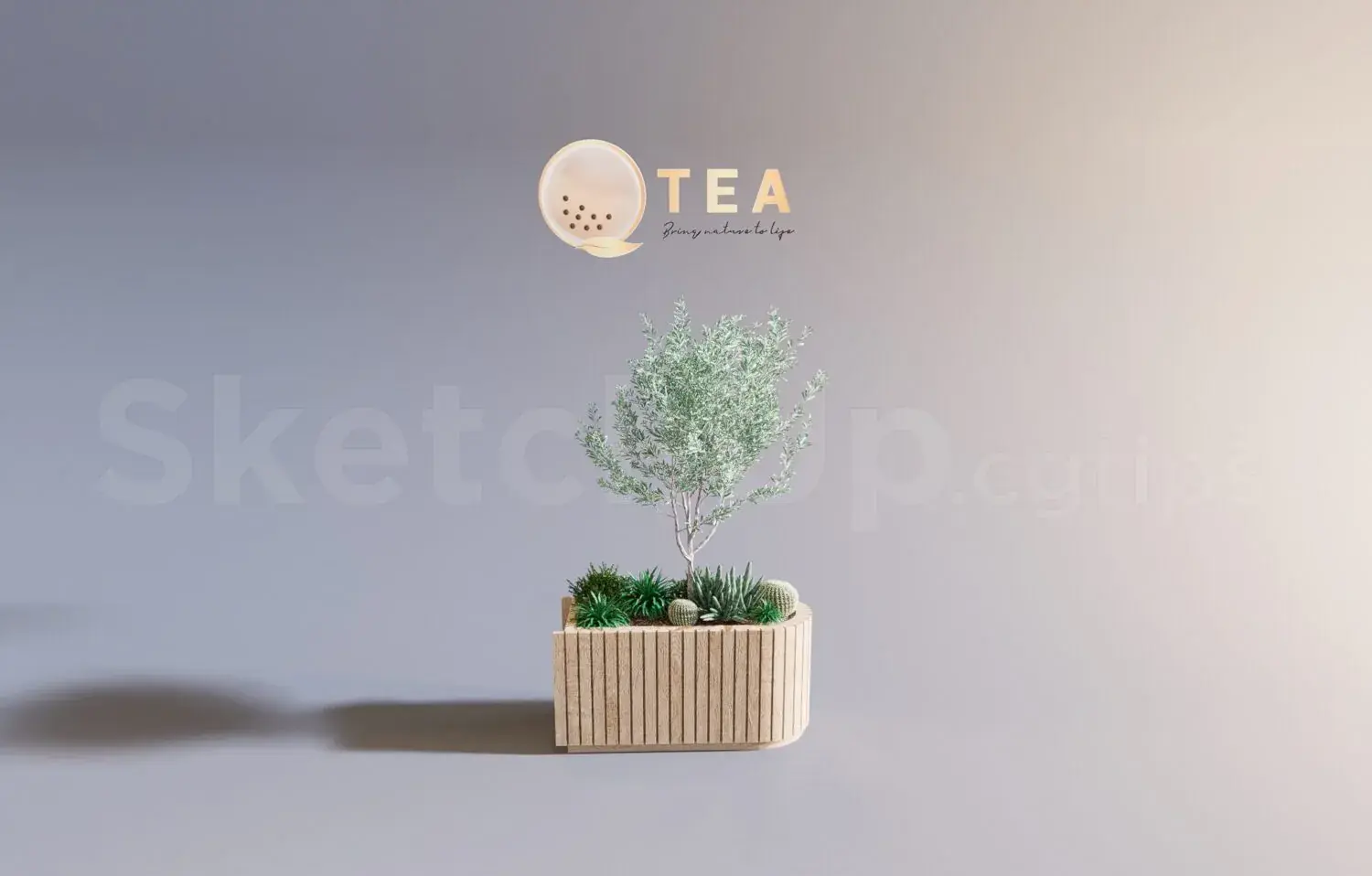 Plant