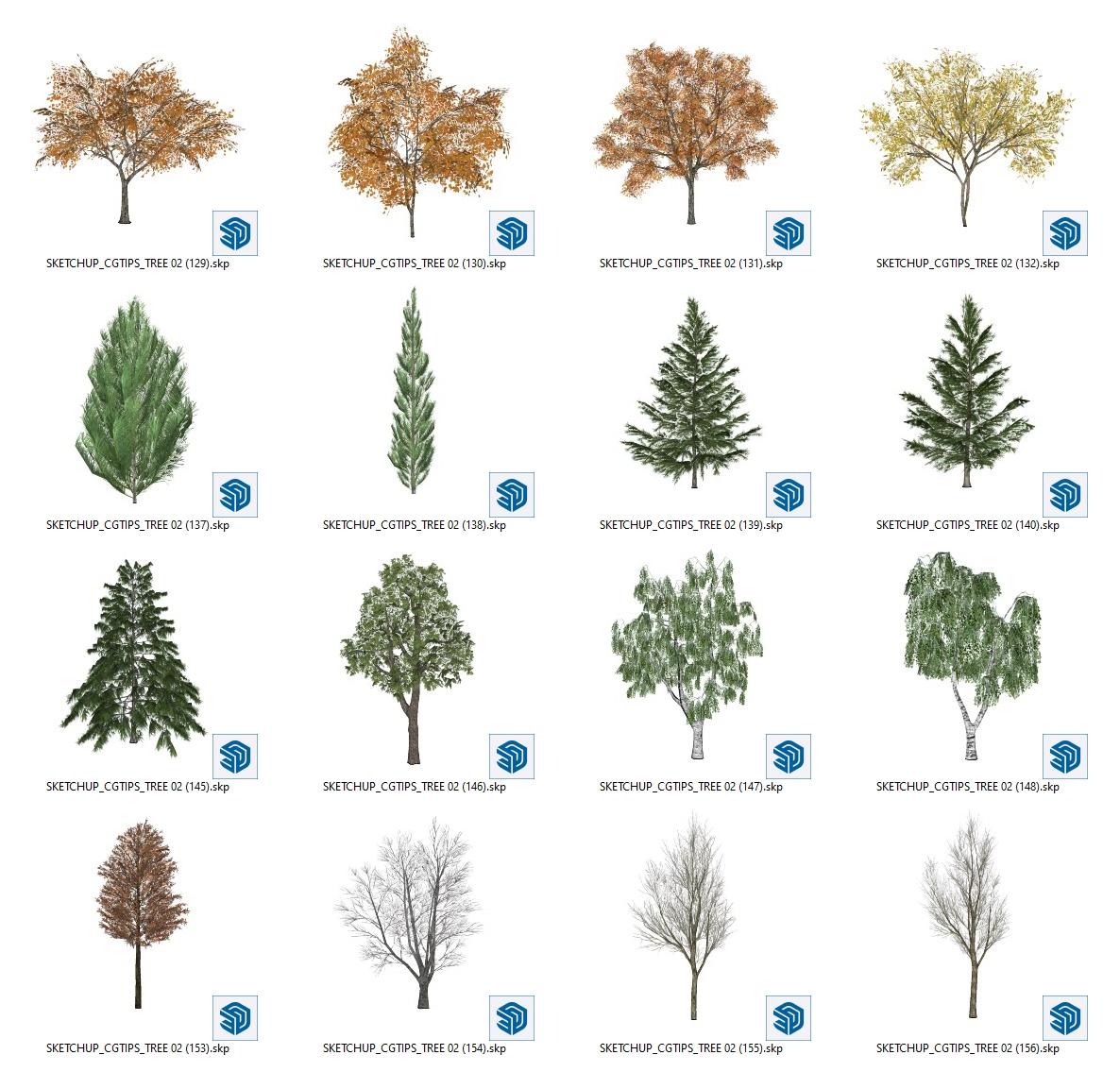 Trees