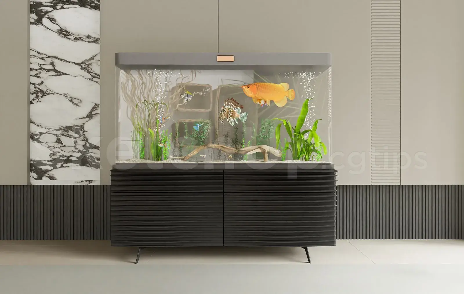 Aquarium Tank