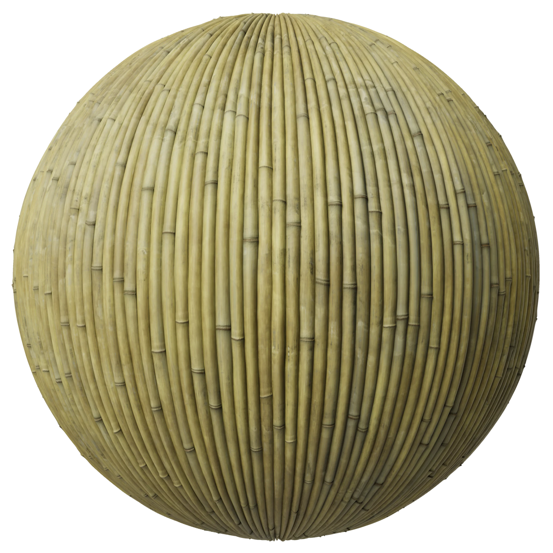 Bamboo 002 C