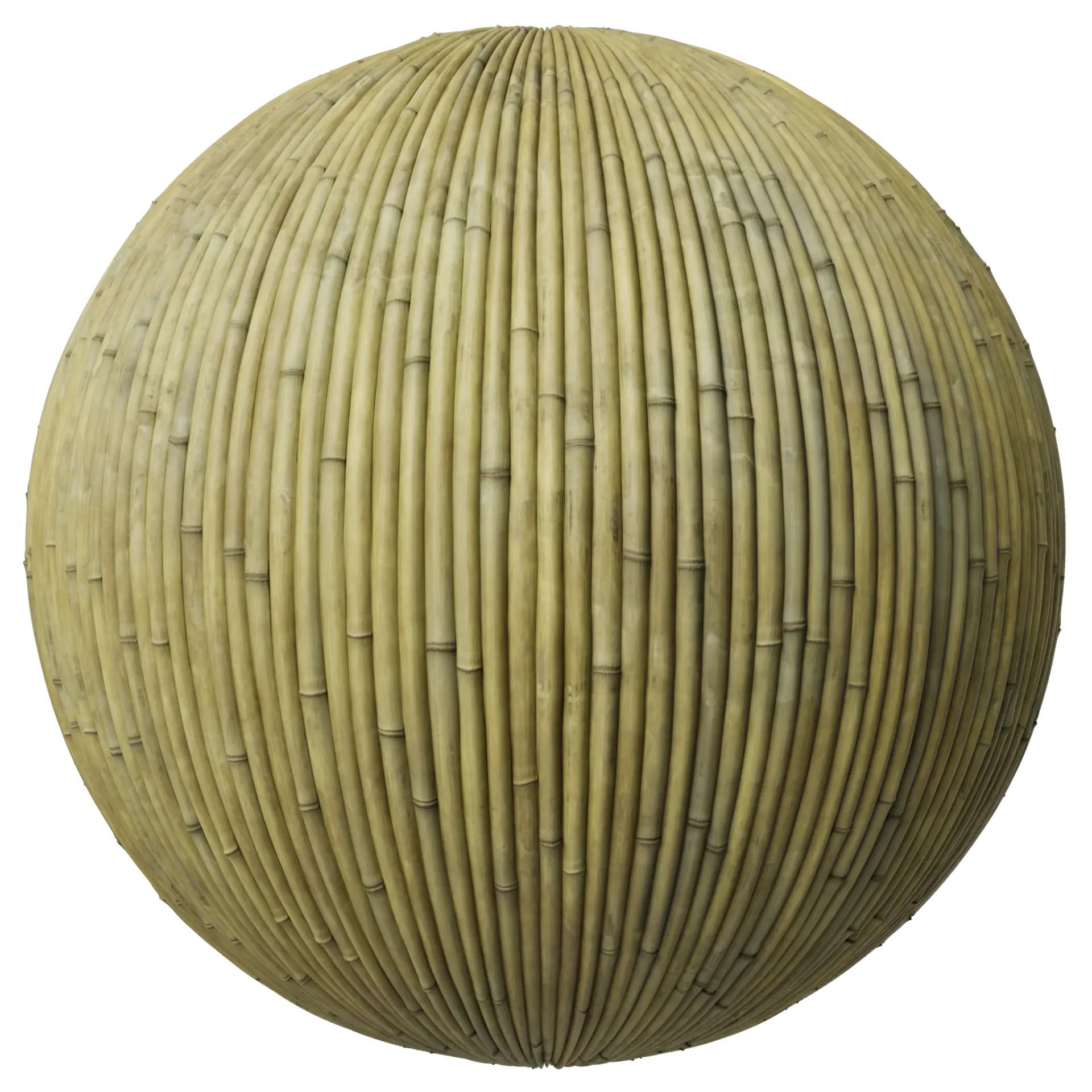 Bamboo 002 C