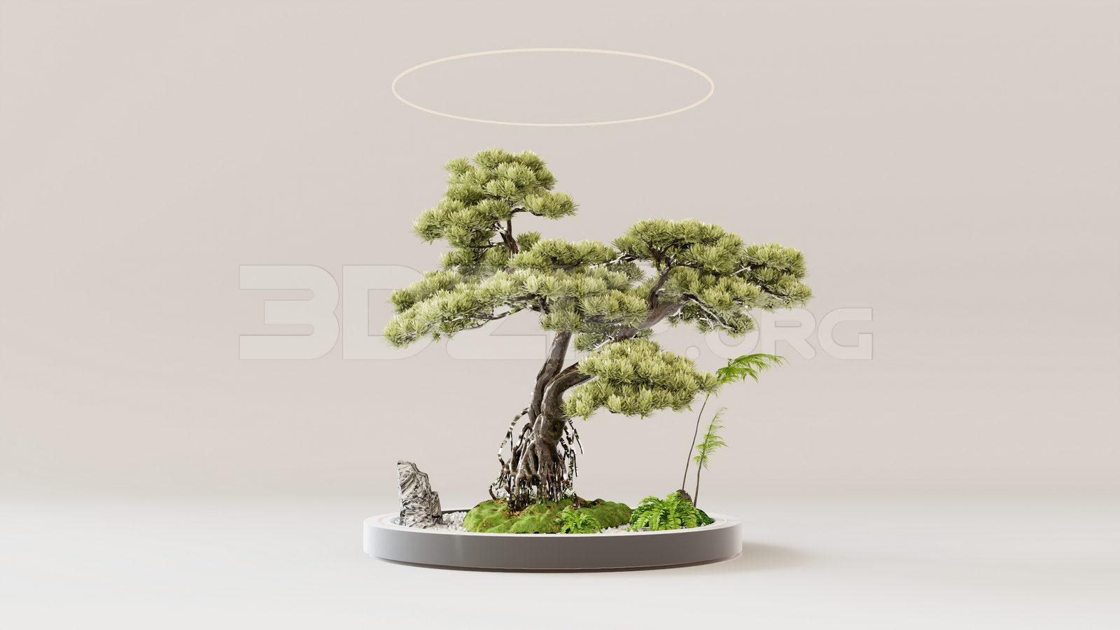 BonSai Tree
