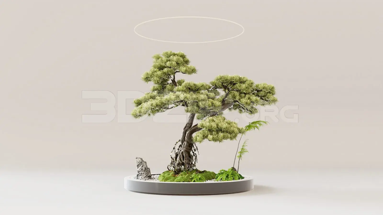 BonSai Tree