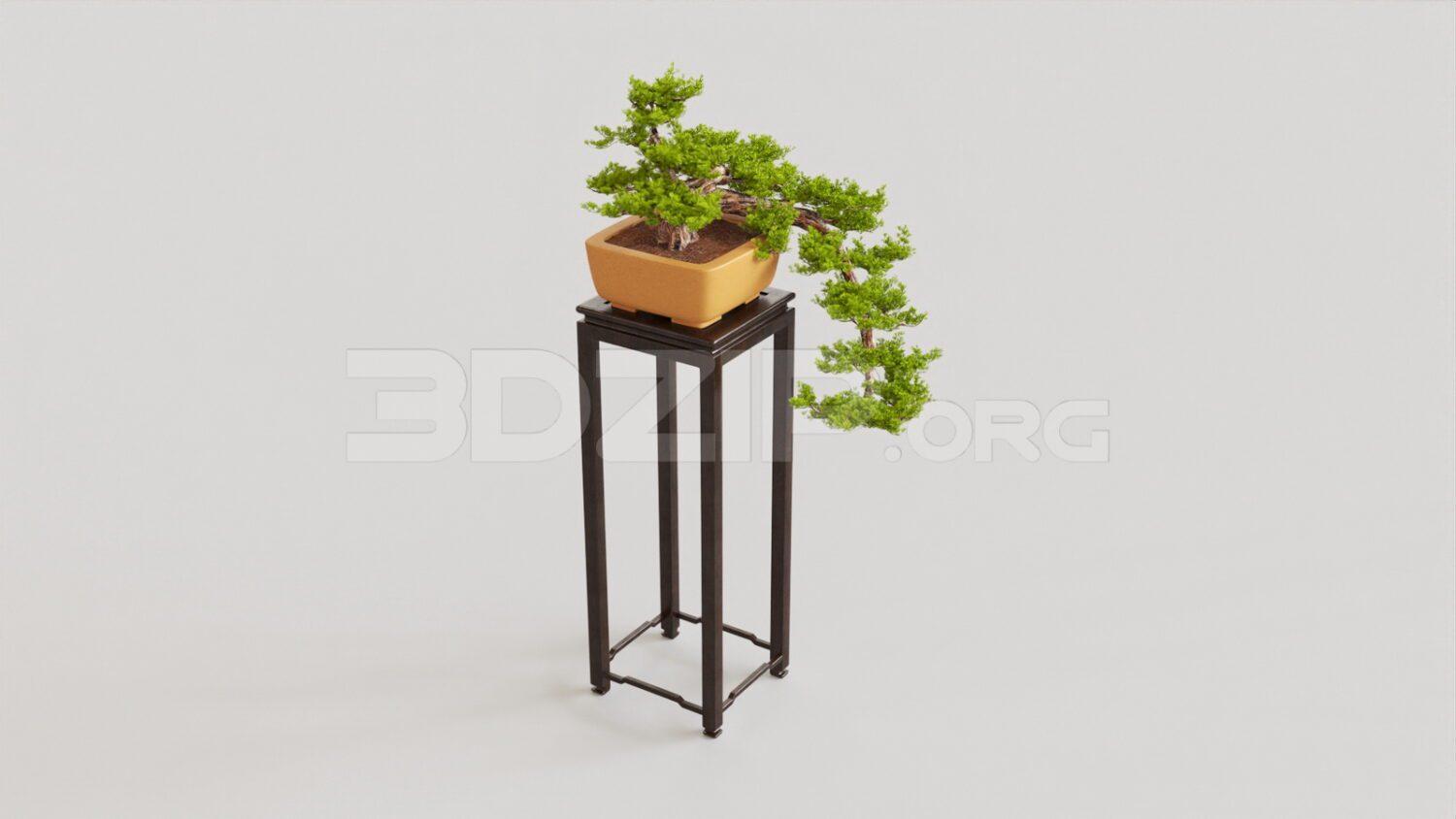 Plant