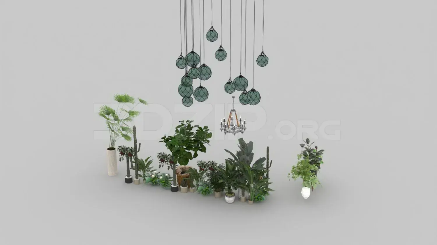 Plant